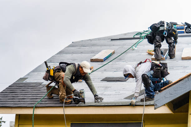 Professional Roofing technician working in Lewisville, IN